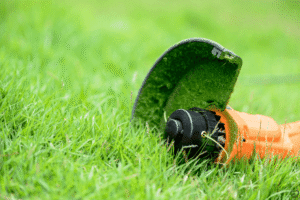 paras trimmeri vertailu